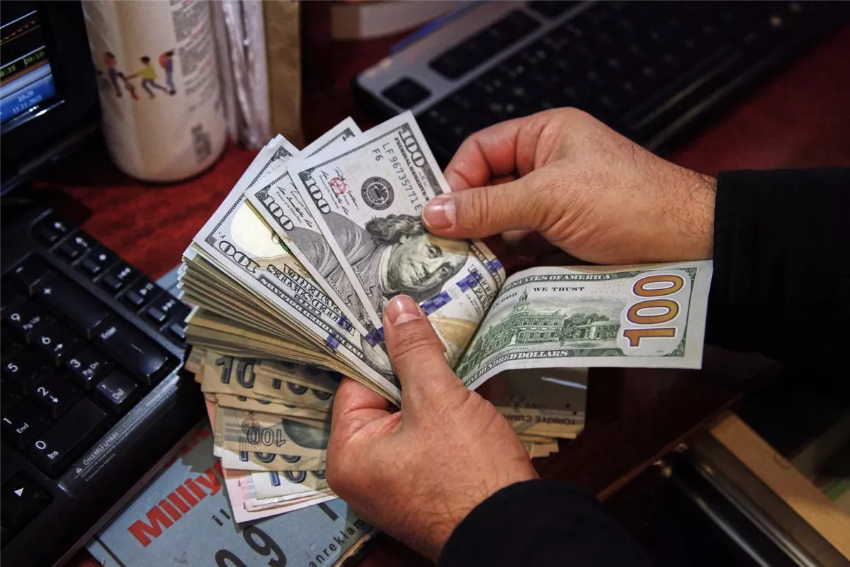 سعر الدولار مقابل الجنيه المصري اليوم 19 نوفمبر 