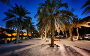 حى نمار بالرياض