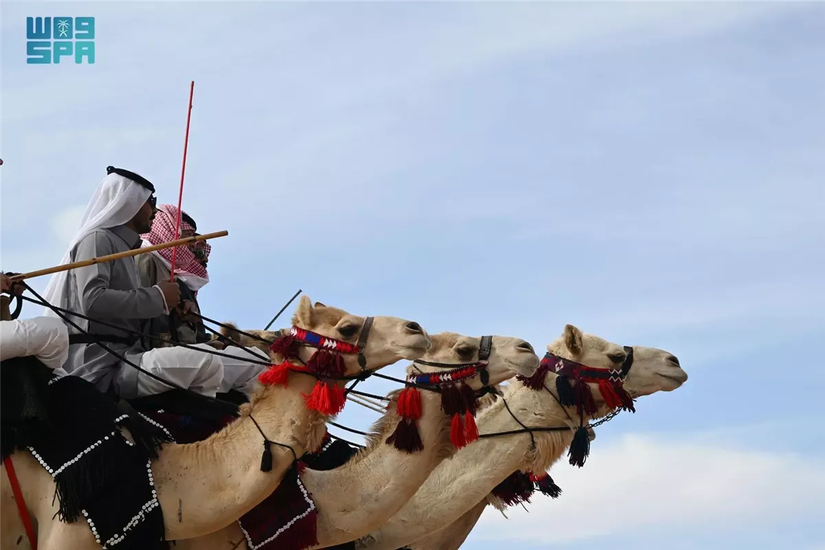 <strong>عيد الفطر في بادية تبوك: أصالة واحتفالات الهجيني</strong>