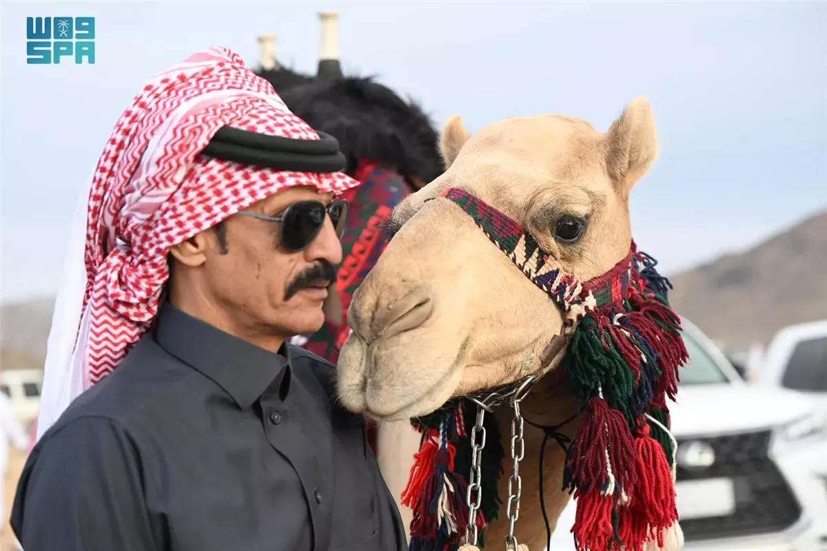 <strong>عيد الفطر في بادية تبوك: أصالة واحتفالات الهجيني</strong>