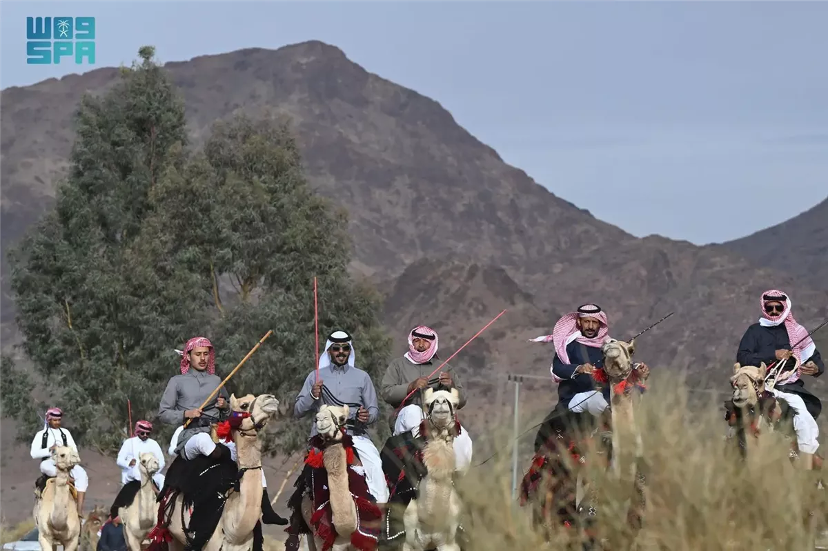 <strong>عيد الفطر في بادية تبوك: أصالة واحتفالات الهجيني</strong>