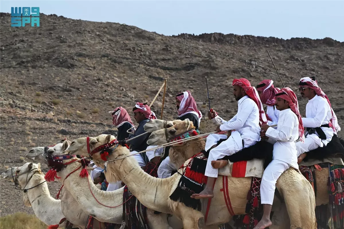 <strong>عيد الفطر في بادية تبوك: أصالة واحتفالات الهجيني</strong>