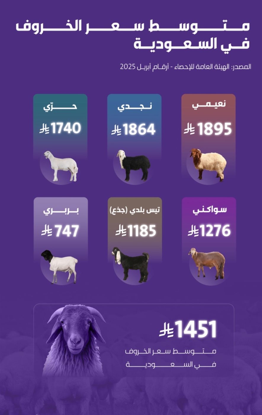 متوسط أسعار الأغنام في السعودية 1446