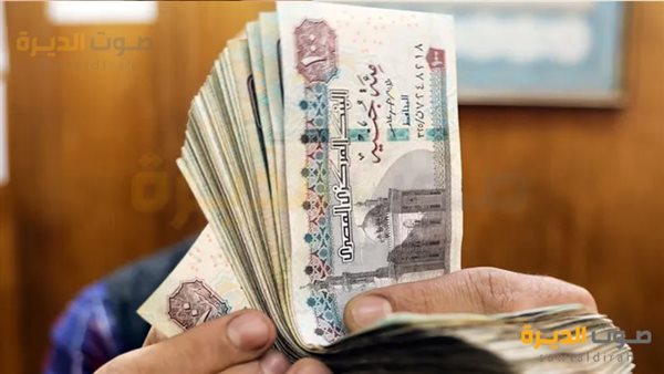 المعاش المبكر في مصر 2025