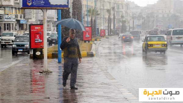 فصل الشتاء فى مصر