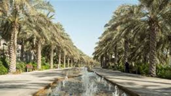 دليلك الشامل لزيارة حديقة ام الامارات ابوظبي