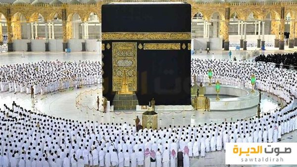 أسعار عمرة المولد النبوي 2024