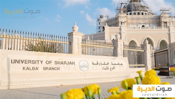 وظائف جامعية بالامارات 2024