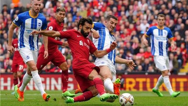 موعد مباراة ليفربول وبرايتون 