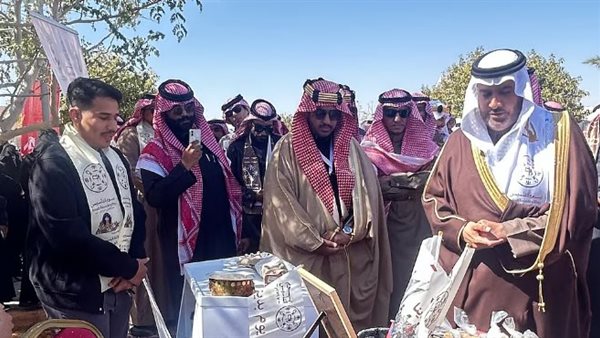 جامعة حائل