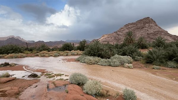 سيول حائل تغمر الأحياء والجهات تتدخل
