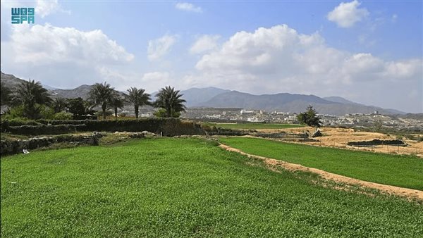 عسير تتصدر دعم ريف الزراعي