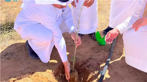 القصيم تزرع 6.3 ملايين شجرة باليوم الأخضر