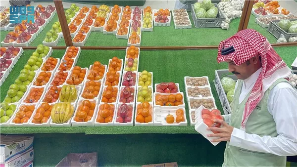 بيئة نجران 
