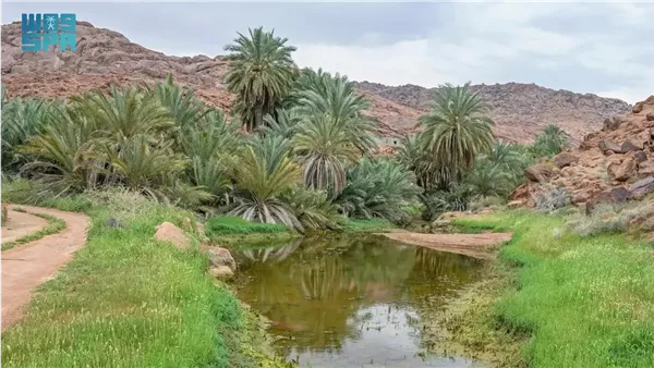 جبال أجا وسلمى في حائل: وجهة سياحية مثالية
