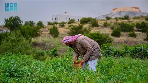 رؤية زراعية خضراء تواكب طموحات المملكة 2030
