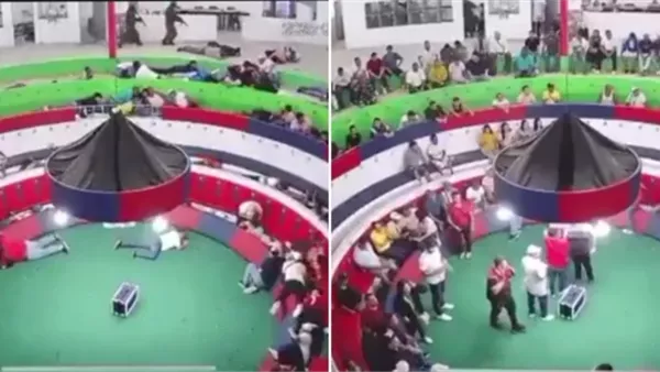 مصارعة الديوك