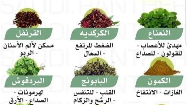 فوائد الأعشاب الطبيعية لعلاج الأمراض