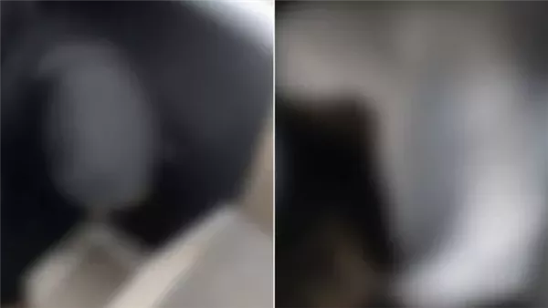ضبط مقيم غاني حاول تهريب مخالفات