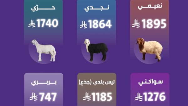 متوسط أسعار الأغنام في السعودية 1446