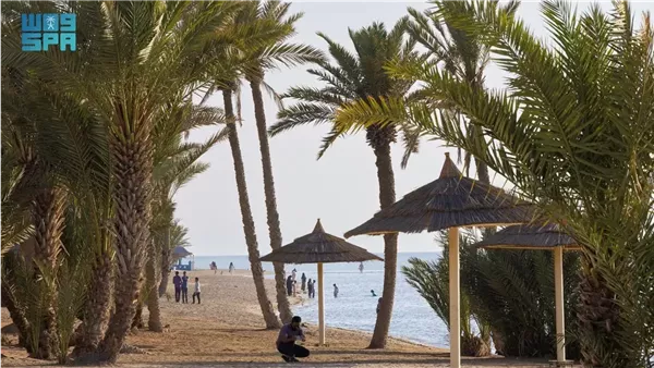 شواطئ أملج وجهة سياحية مميزة