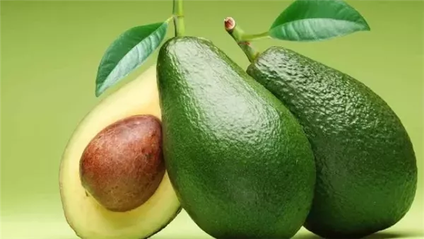 فوائد الأفوكادو الصحية يوميًا مذهلة