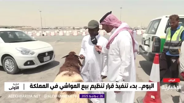 بائع أغنام