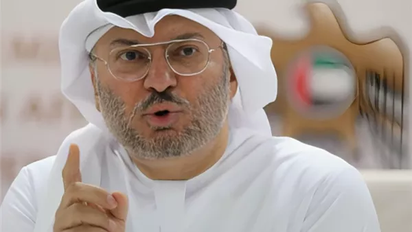 أنور قرقاش