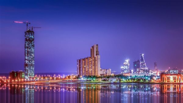 الشركة السعودية للخدمات المحدودة 
